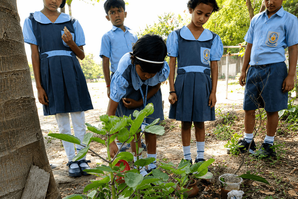 Gardening Projects